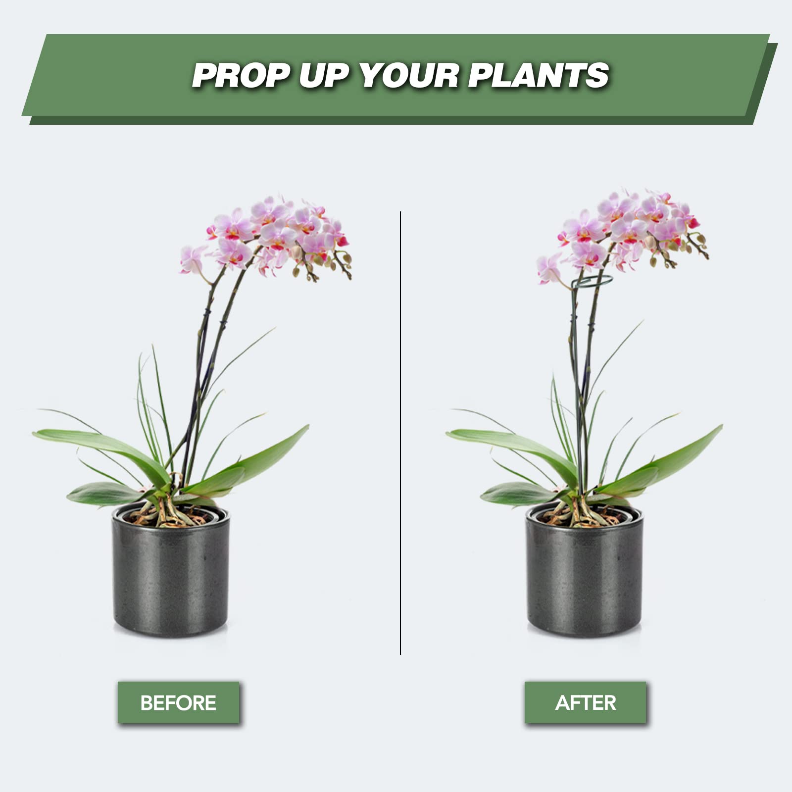 joyhalo 24 Inch Plant Support Stakes with support rings