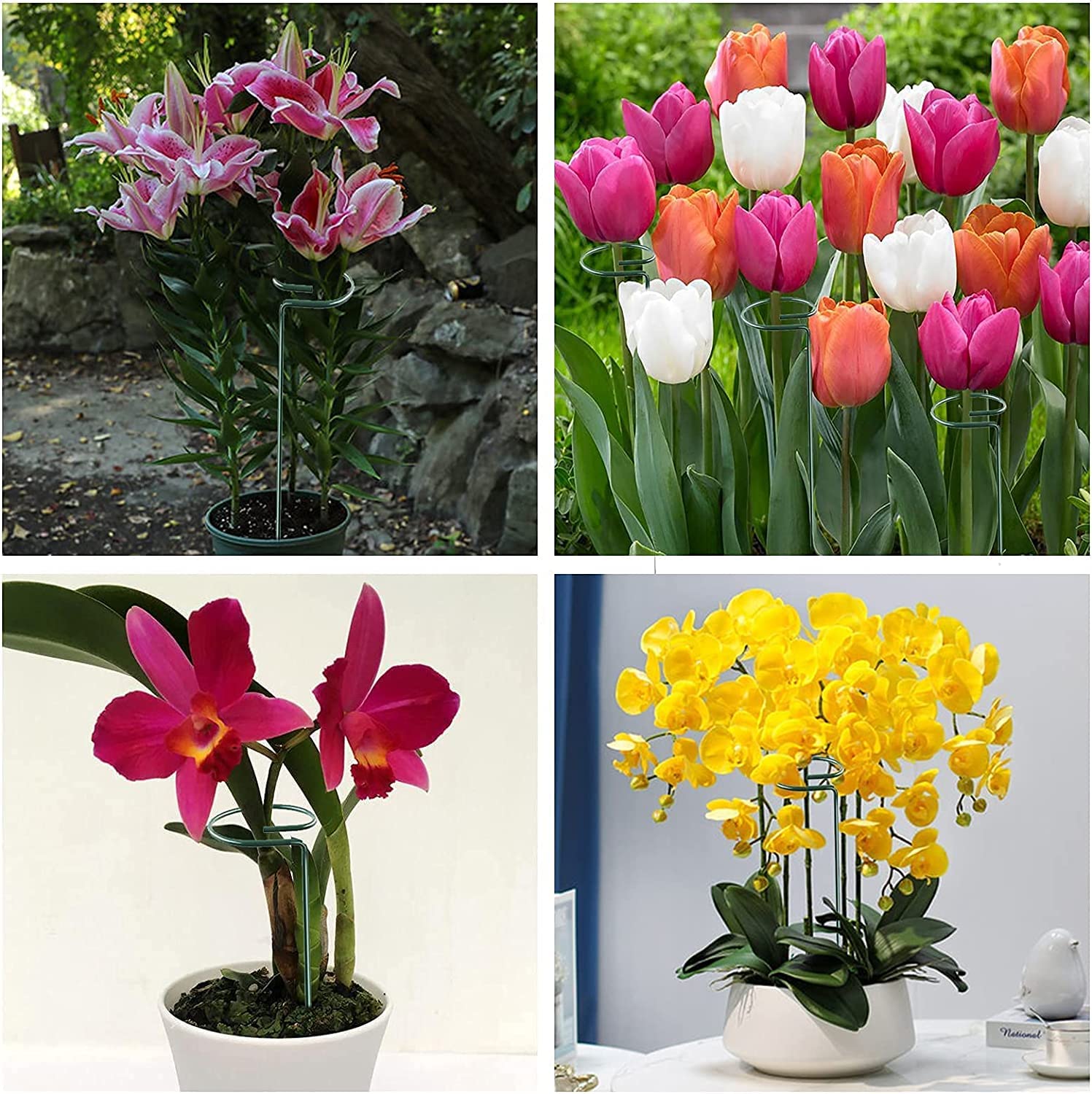 joyhalo plant stakes in flower bed