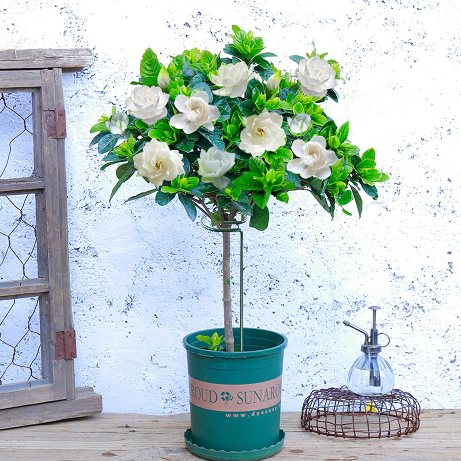 joyhalo Plant Support Stakes in various garden plants