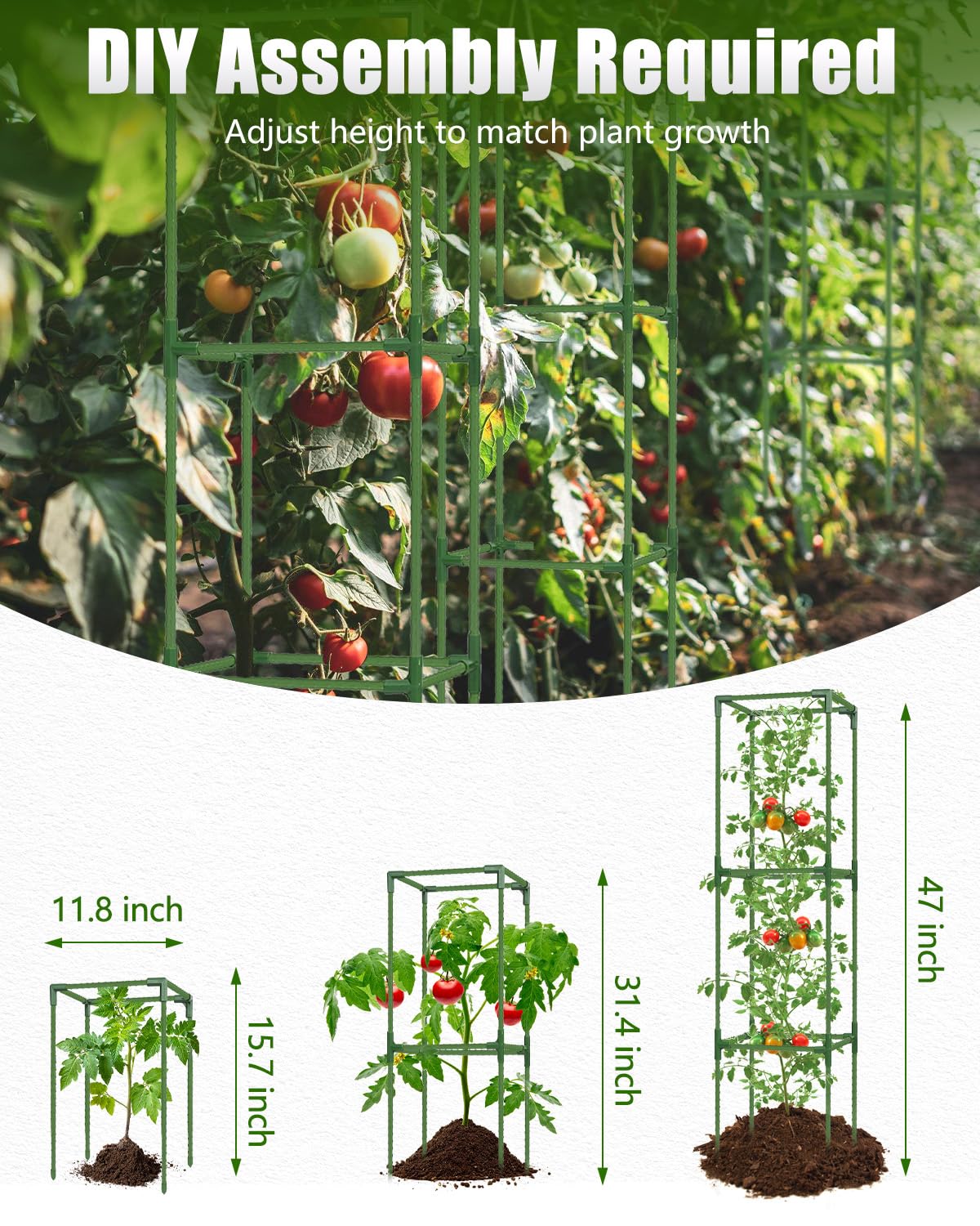 joyhalo Tomato Cage showing sturdy metal construction