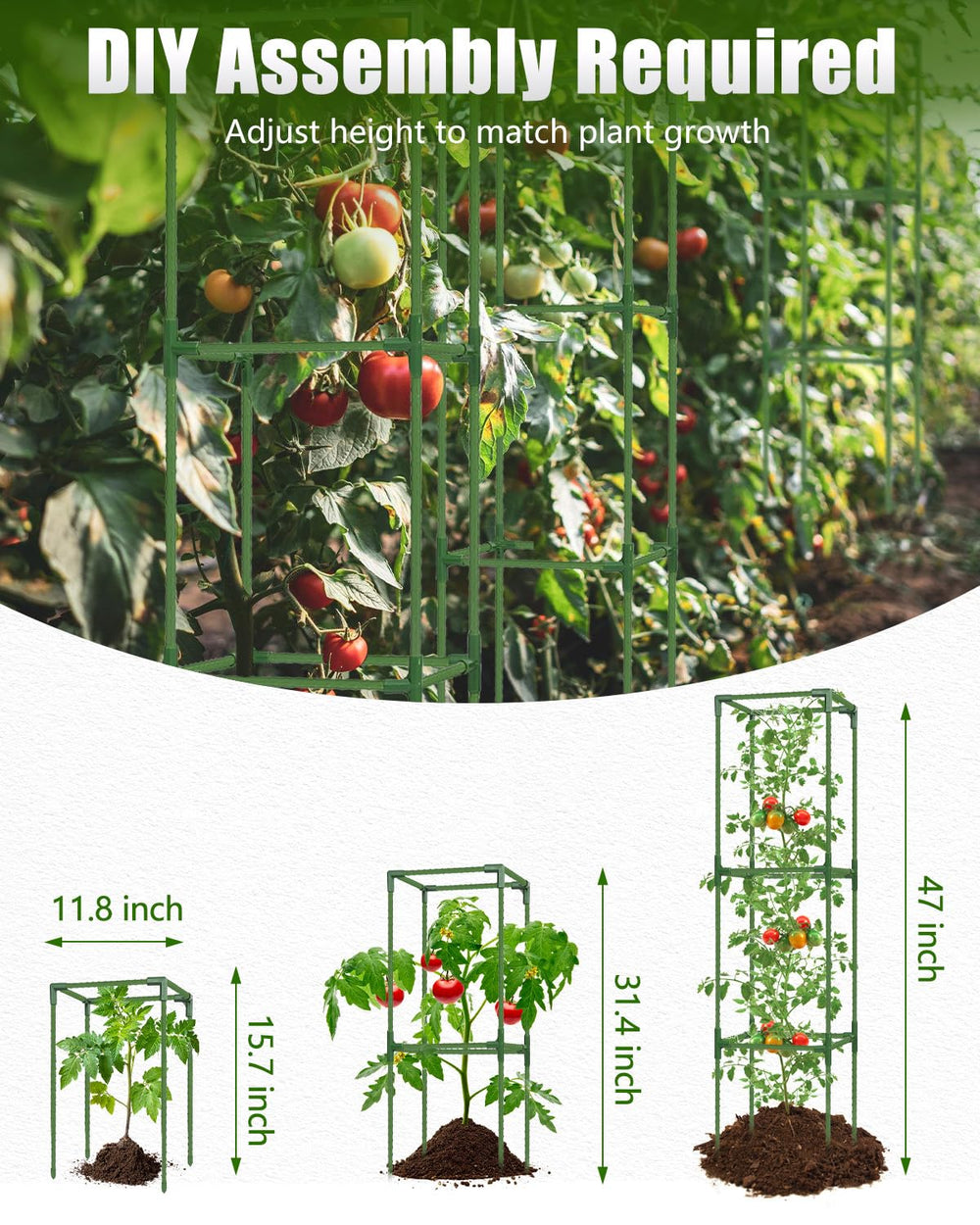 joyhalo Tomato Cage showing sturdy metal construction