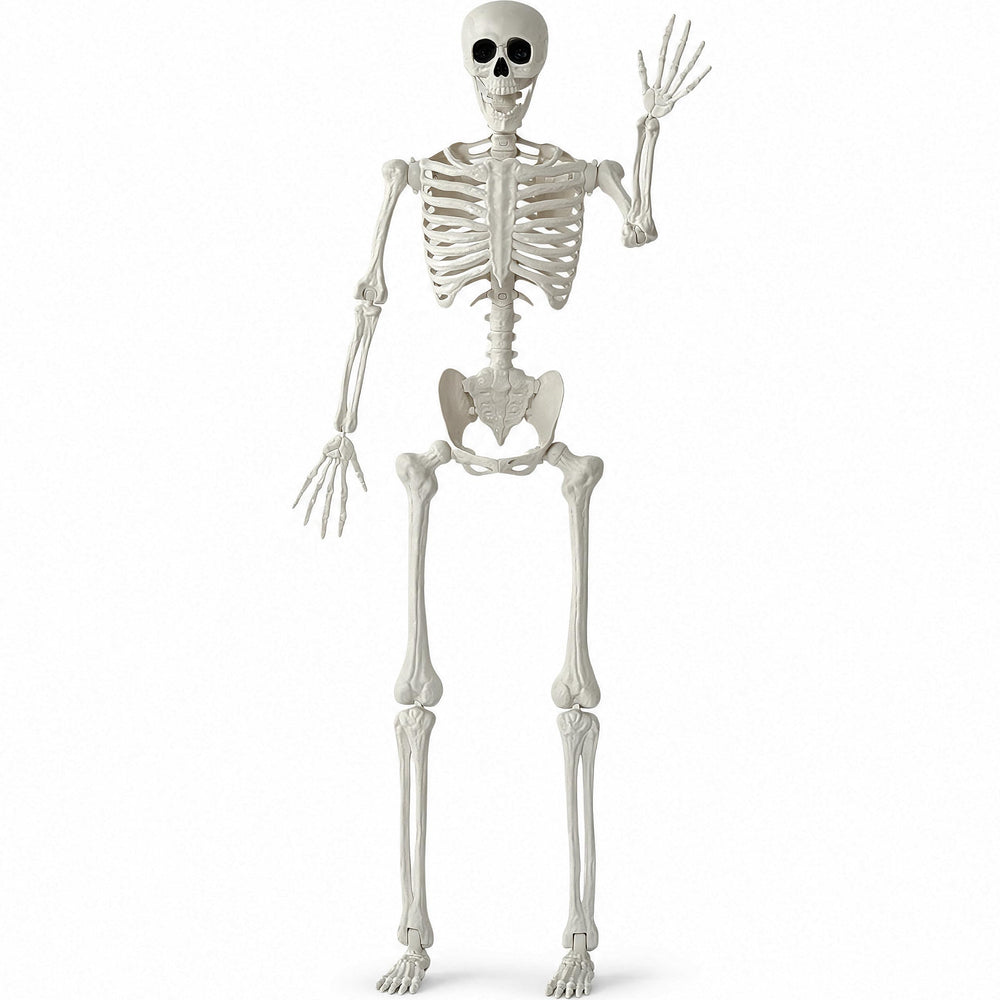 JOYIN 5 FT Halloween Skeleton front view with realistic details