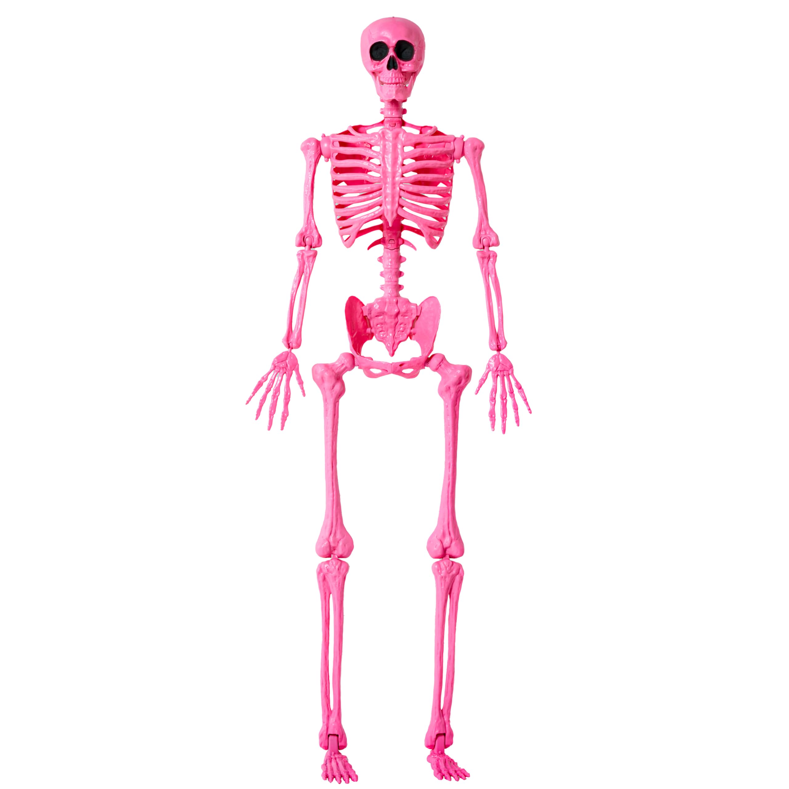JOYIN 5 FT Pink Skeleton front view with posable joints