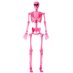 JOYIN 5 FT Pink Skeleton front view with posable joints