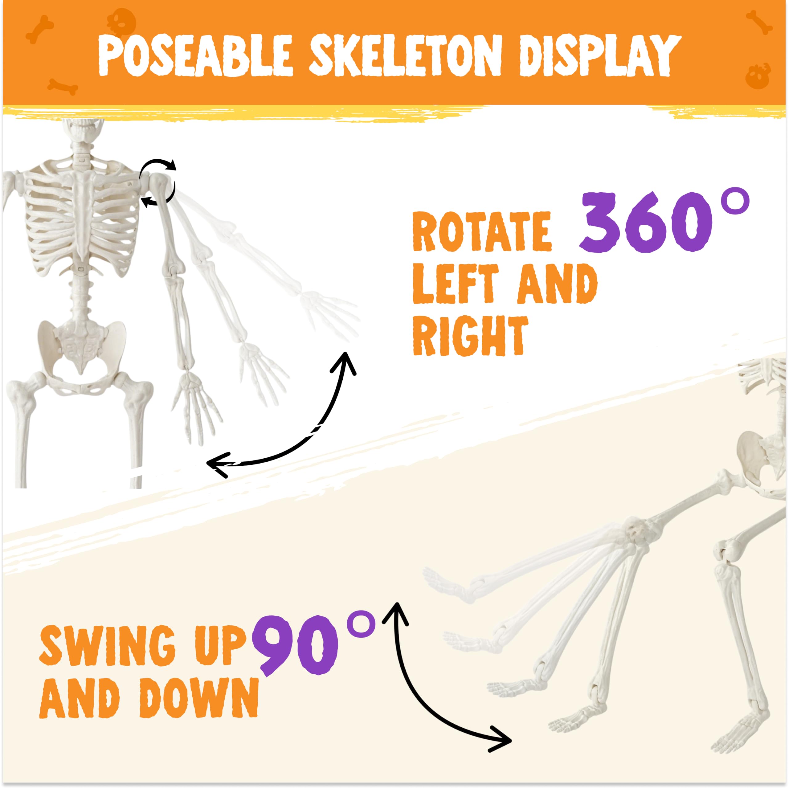 JOYIN 5 FT Skeleton displayed indoors for Halloween