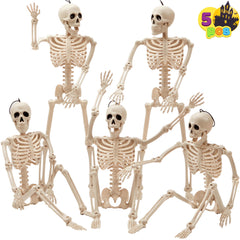 JOYIN 5 PCS Posable Halloween Skeletons, 16 inch front view
