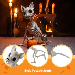 JOYIN Chihuahua skeleton detailed bone structure