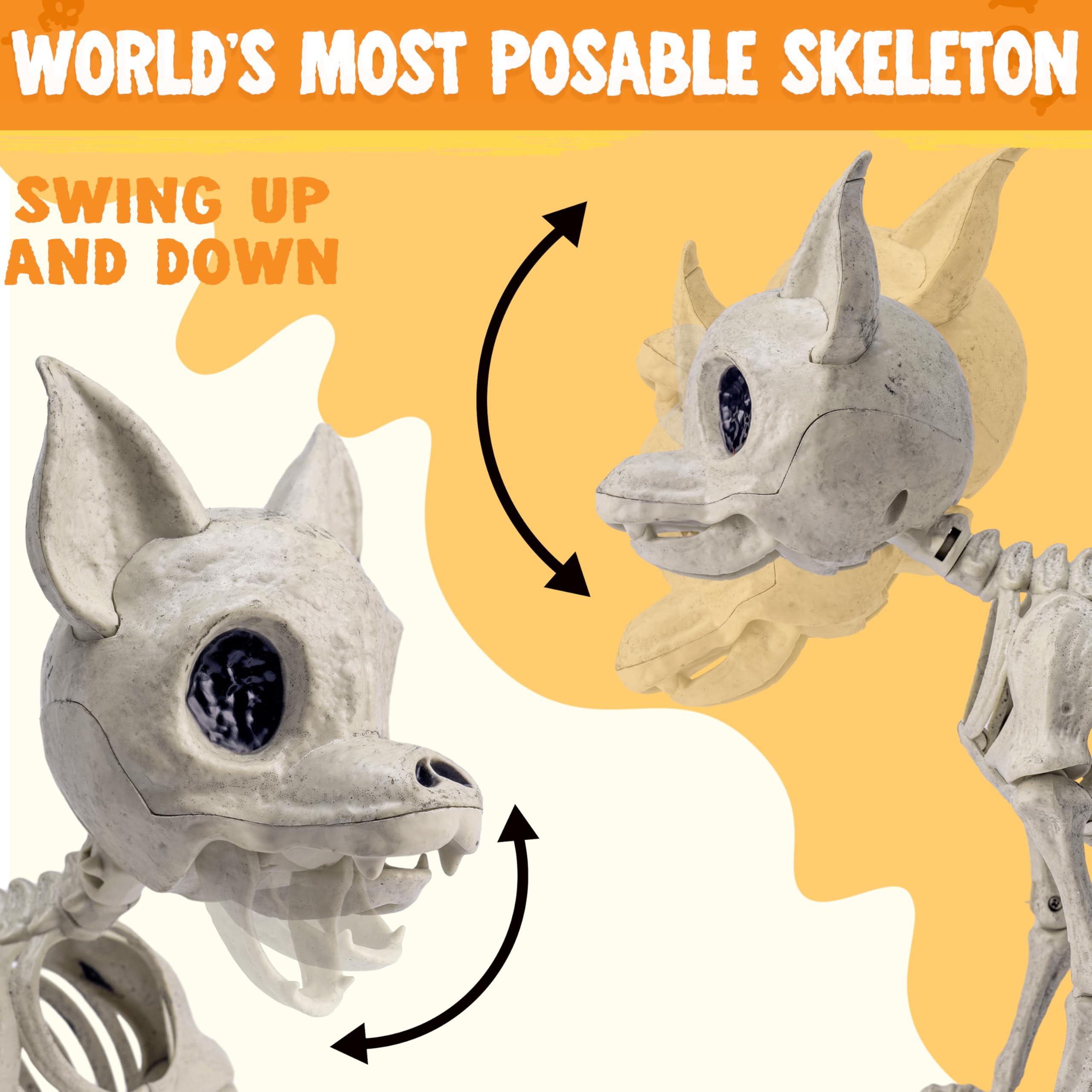 JOYIN Chihuahua skeleton side view