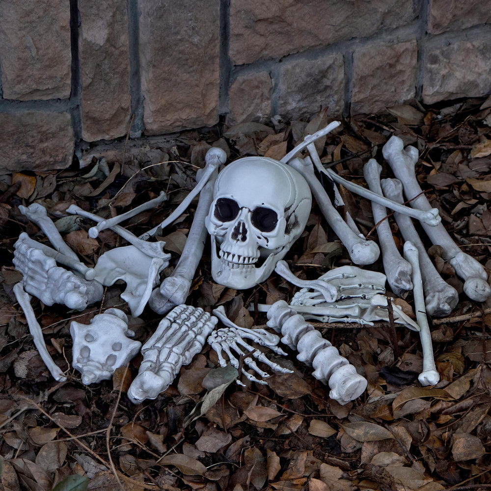 JOYIN Halloween decorations set up at night