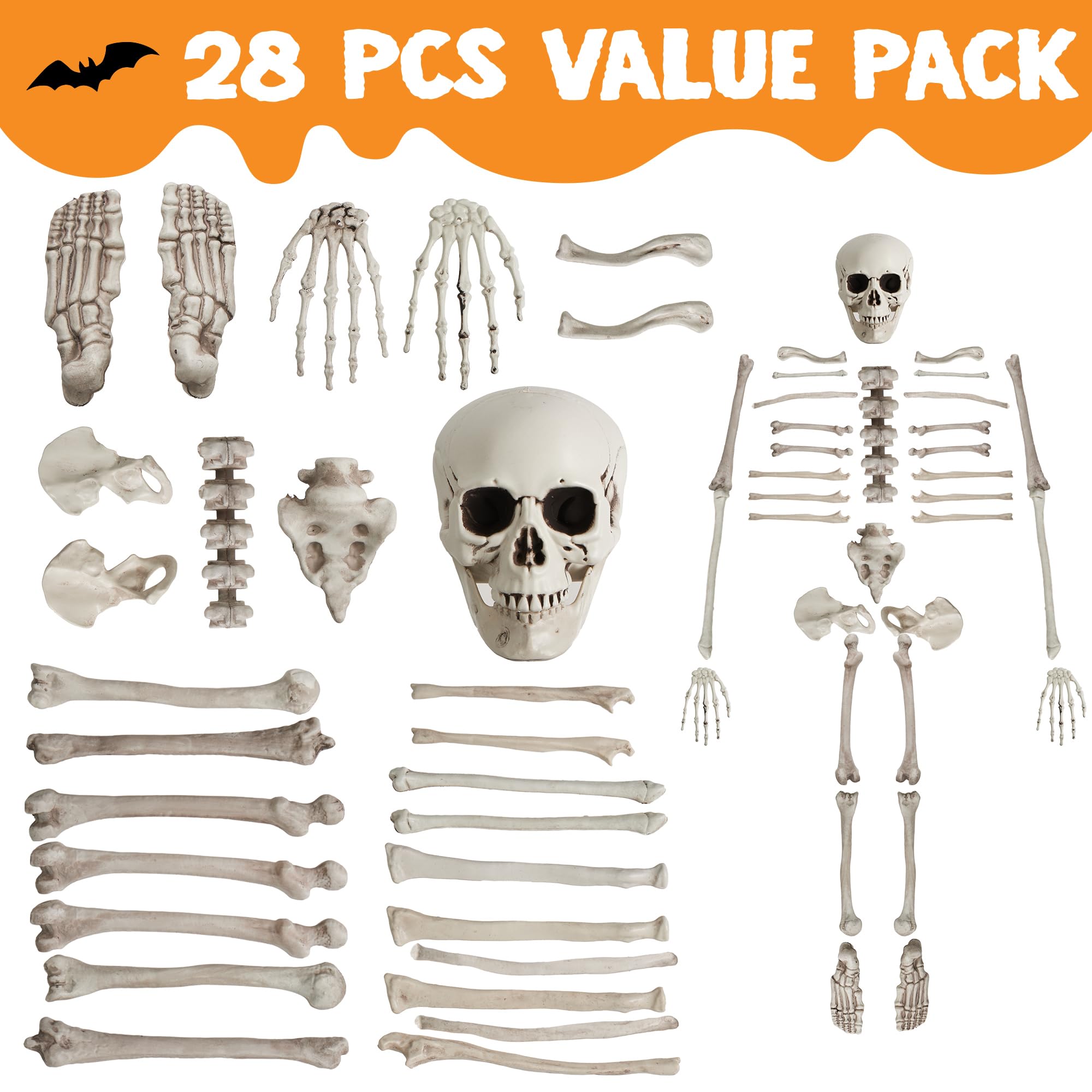 JOYIN skeleton skull and bones in packaging