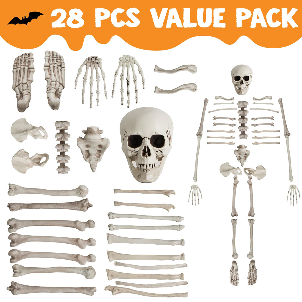 JOYIN skeleton skull and bones in packaging