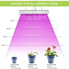 Juhefa LED Grow Light used with potted plants in indoor setting