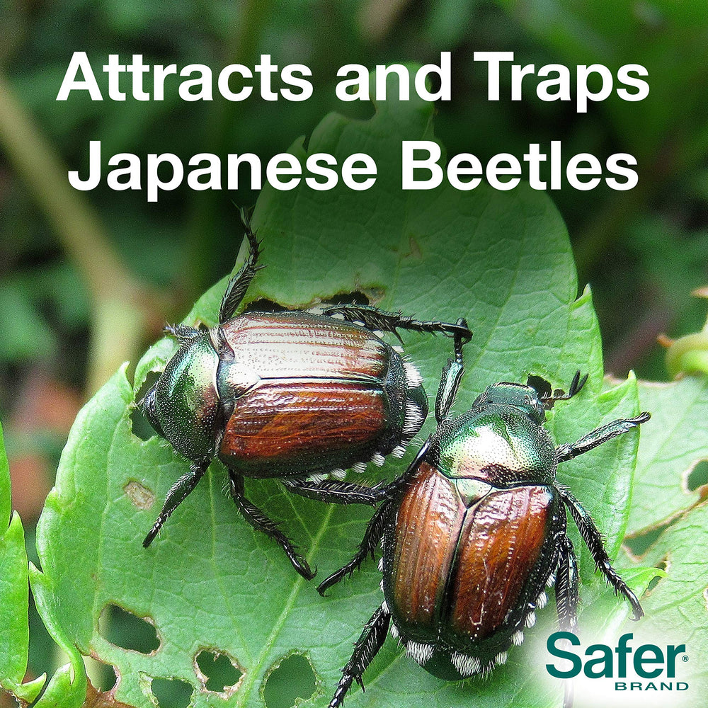 Jumbo bag included with Safer Japanese Beetle Trap