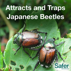 Jumbo bag included with Safer Japanese Beetle Trap