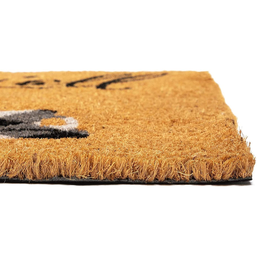 Juvale Coir Door Mat placed at a front entrance