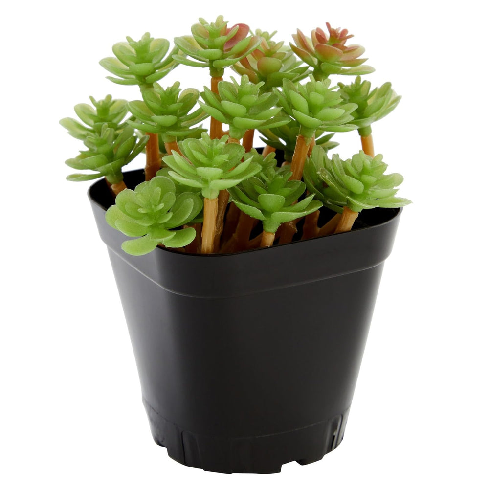 Juvale Square Nursery Pots arranged in a garden setting