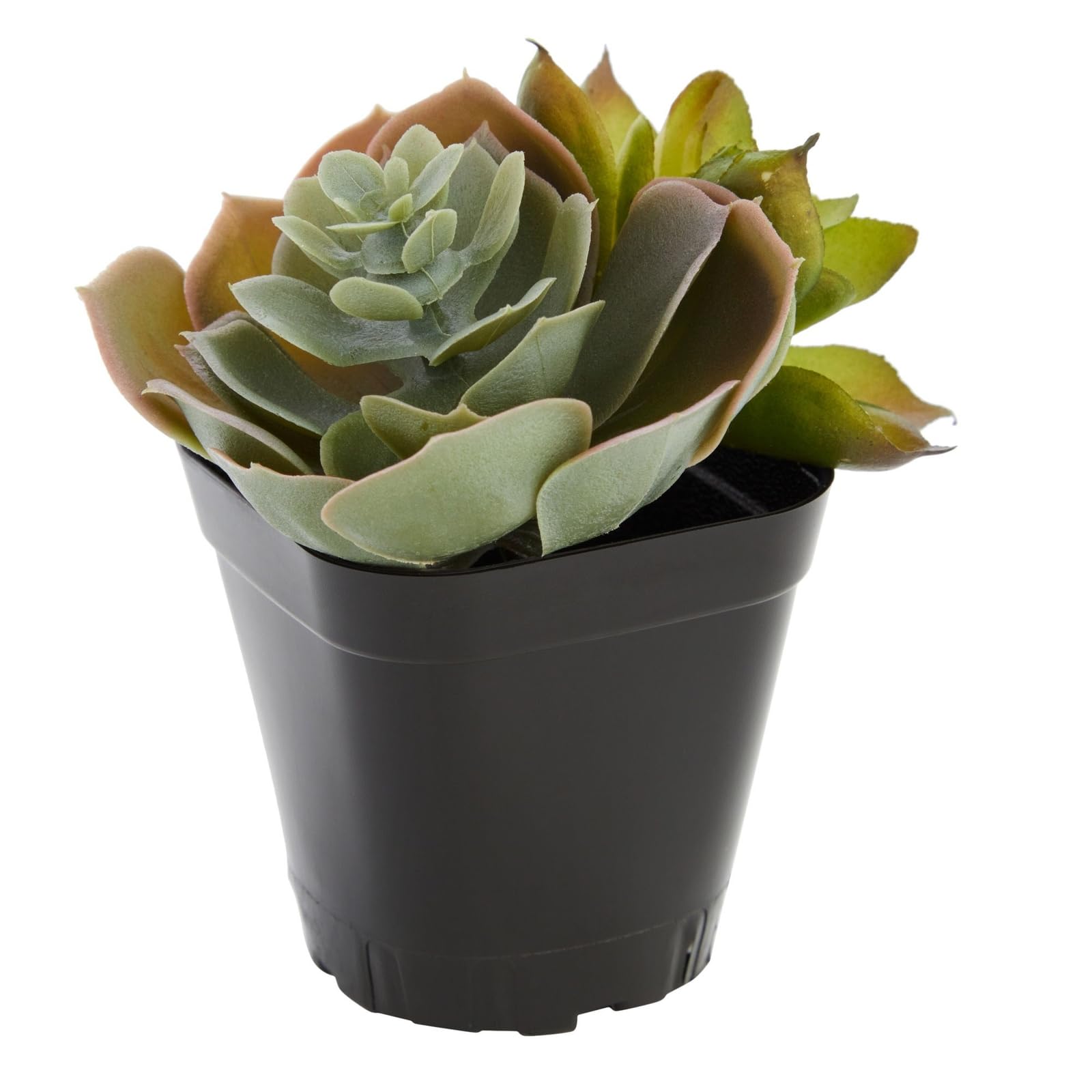Juvale Square Nursery Pots packaging details