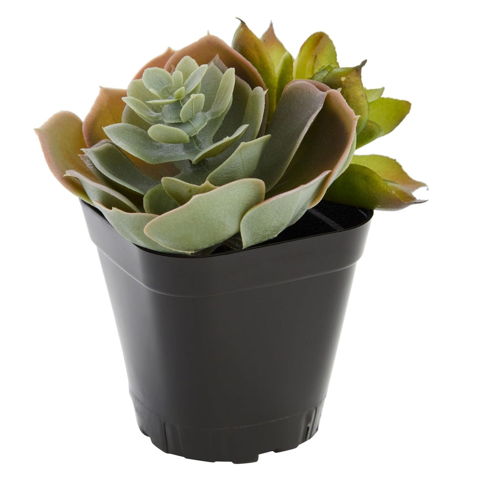 Juvale Square Nursery Pots packaging details