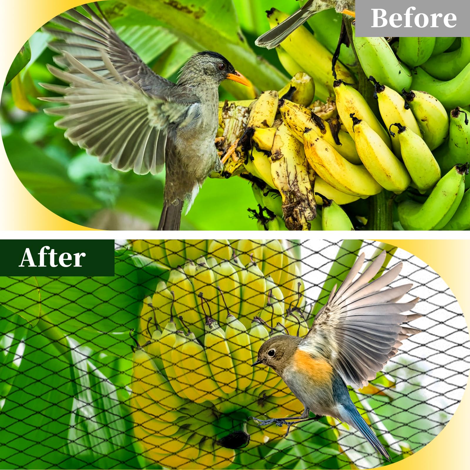 Jvgoo Bird Netting laid flat showing size and mesh