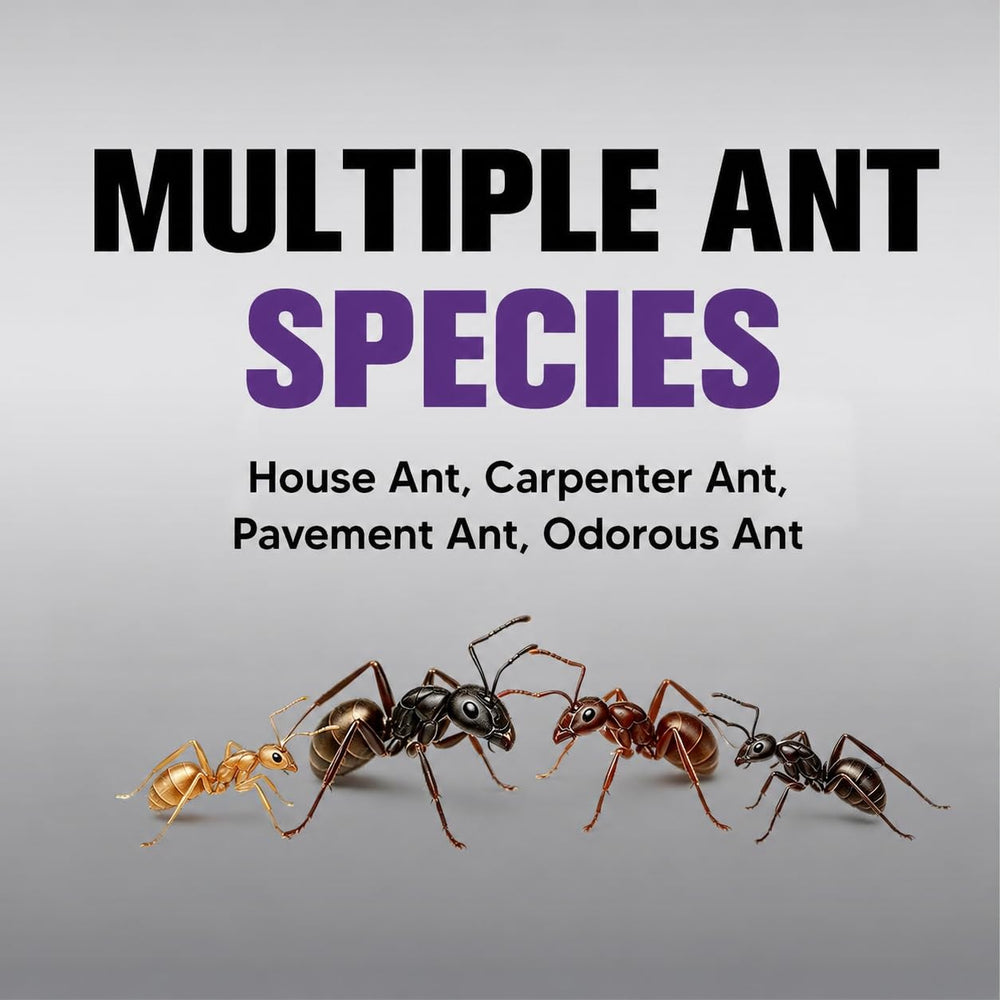 JYEVEWA Ant Away individual pack with white colour