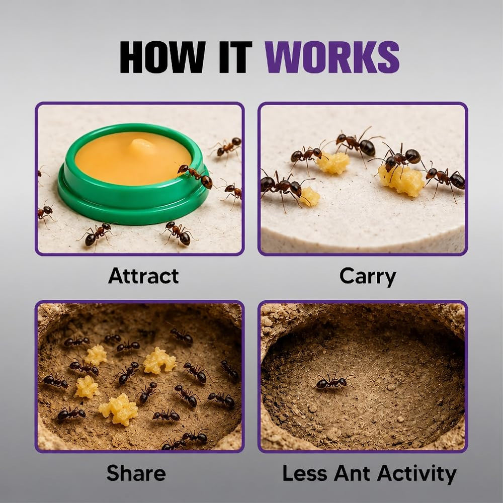 JYEVEWA Ant Away product details and ingredients