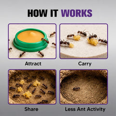 JYEVEWA Ant Away product details and ingredients
