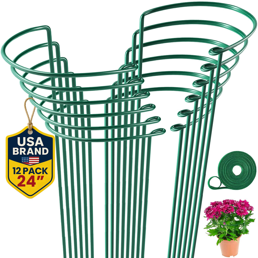 K-Brands 12 Pack Tall Snake Plant Support Stakes front view
