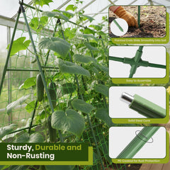 K-Brands 50x50" Cucumber Trellis installed in raised bed with climbing plants