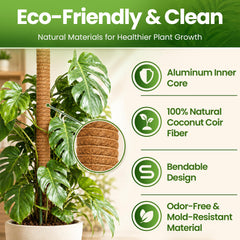 K-Brands moss pole with climbing monstera plants attached