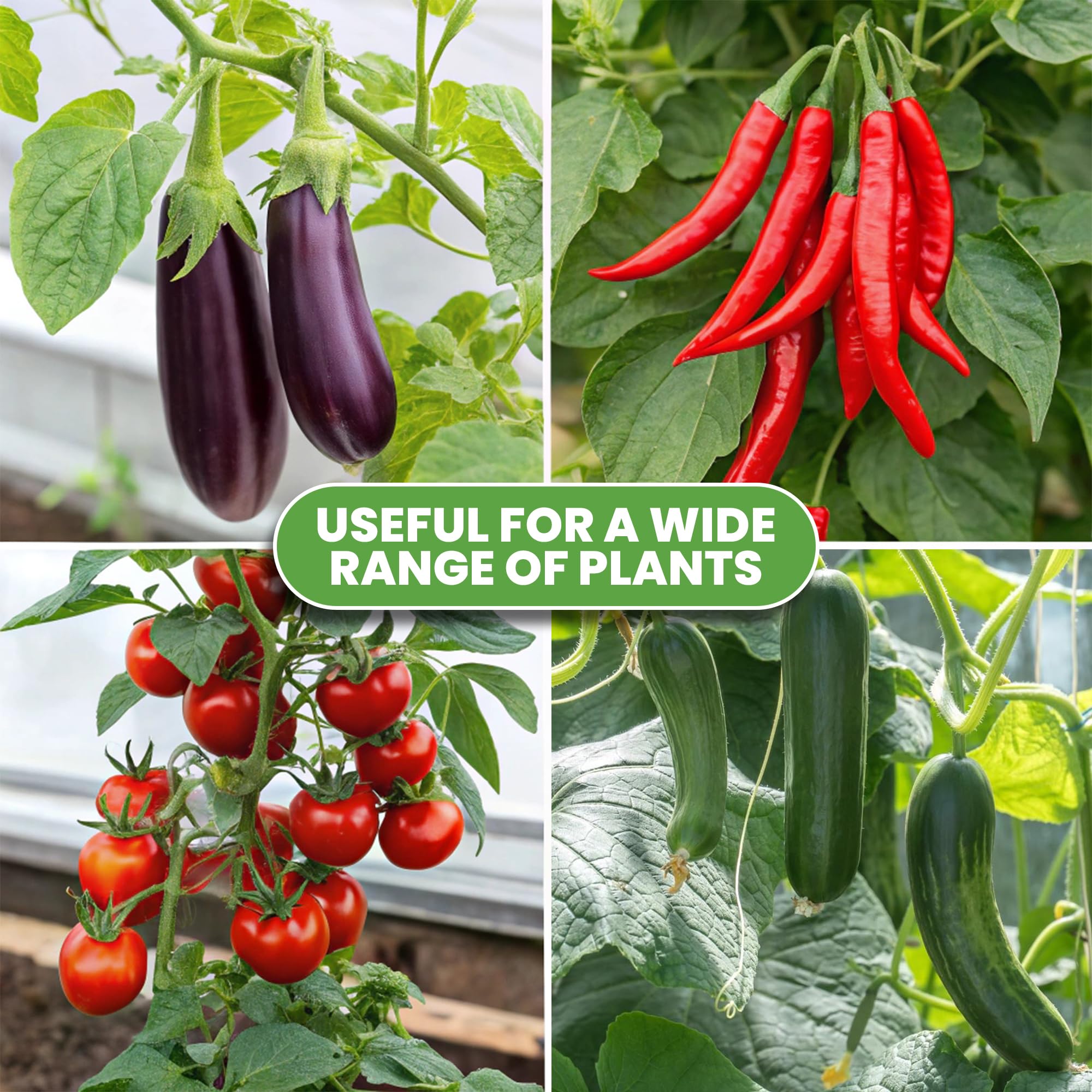 K-Brands tomato cage set up with green plants
