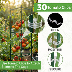 K-Brands tomato cage side view showing height
