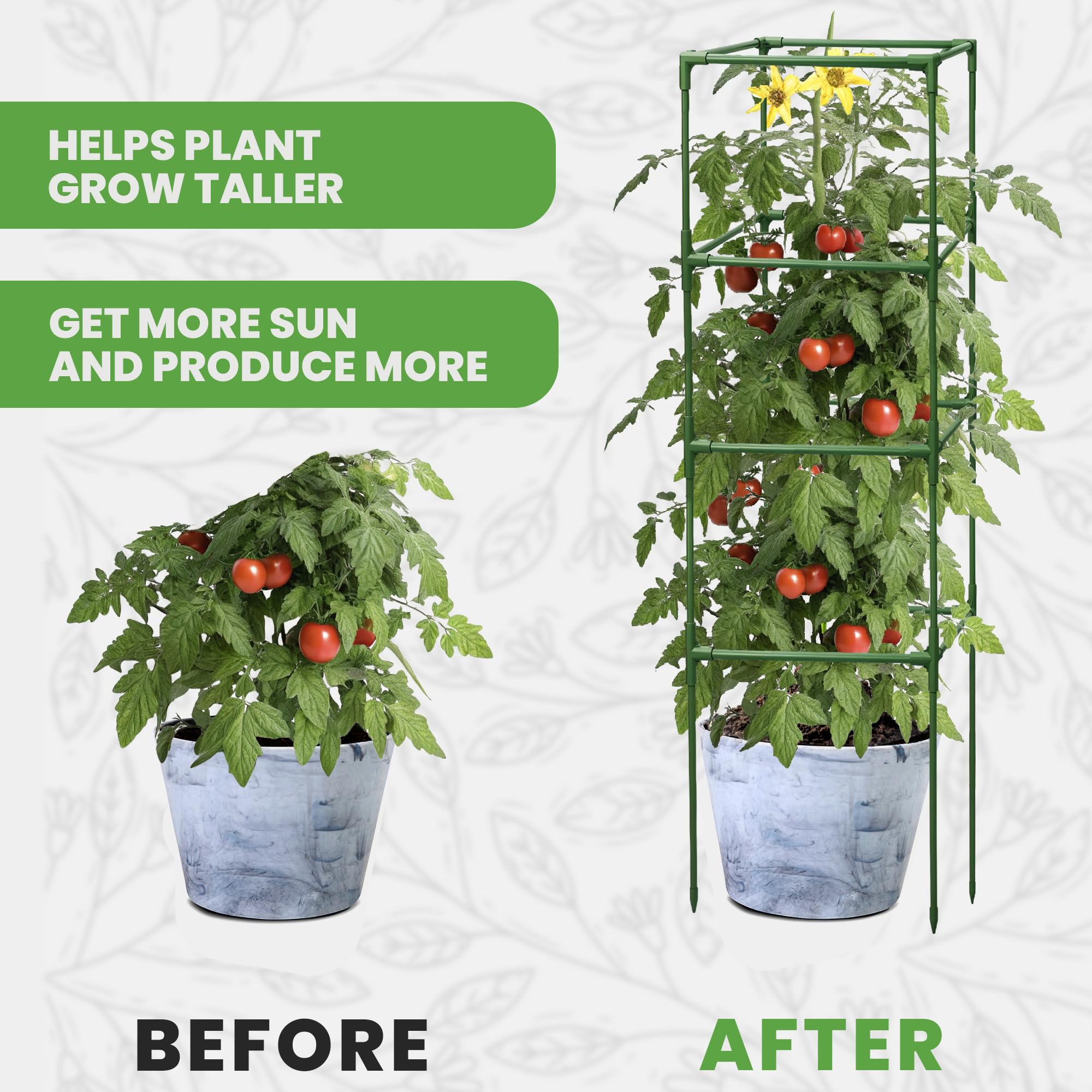 K-Brands Tomato Cage with climbing cucumber plant