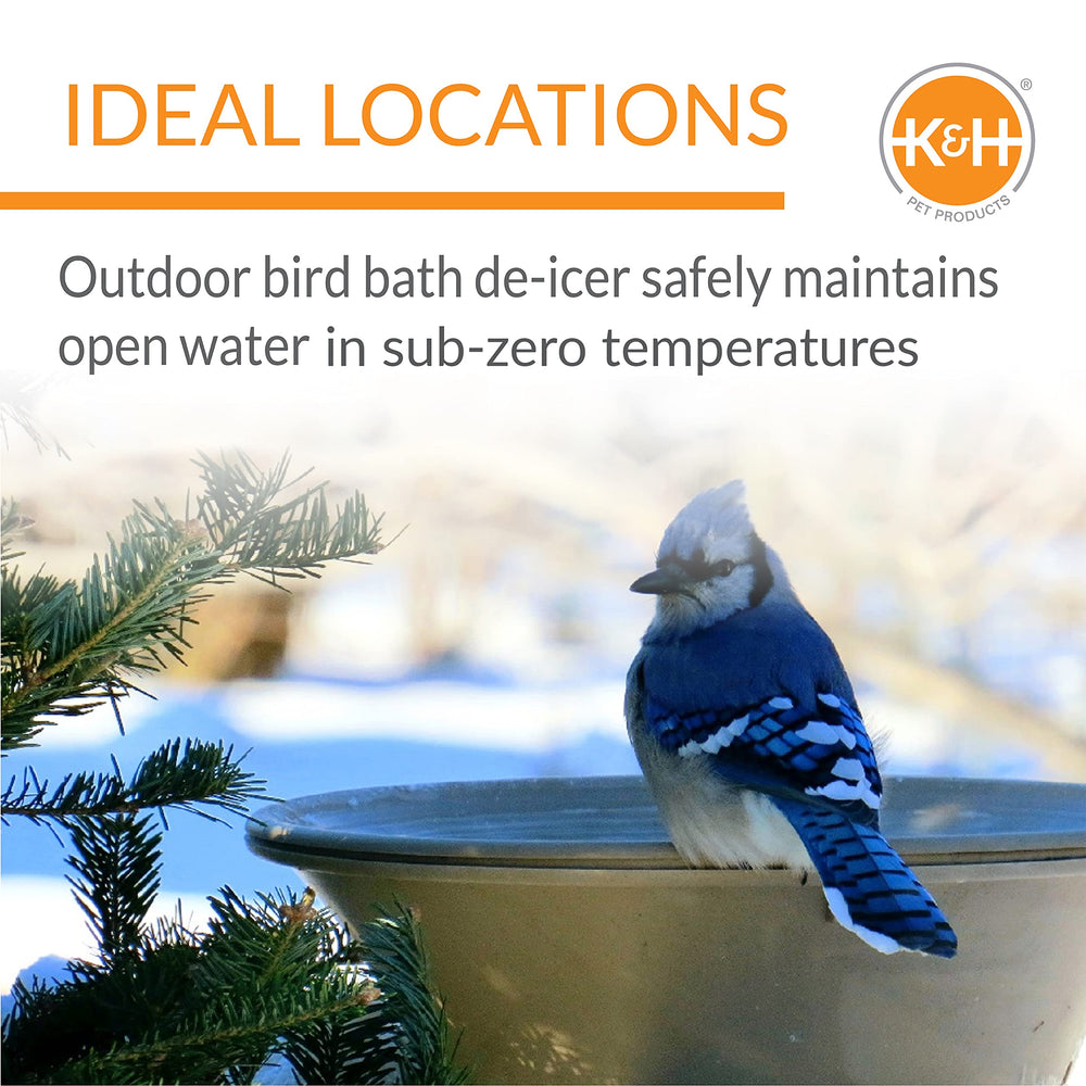 K&H Bird Bath Heater in use during winter