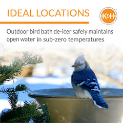 K&H Bird Bath Heater in use during winter