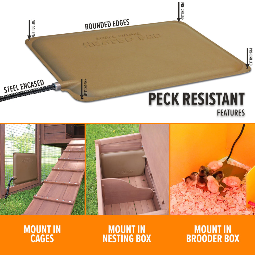 K&H Chicken Heating Pad mounted in a chicken coop
