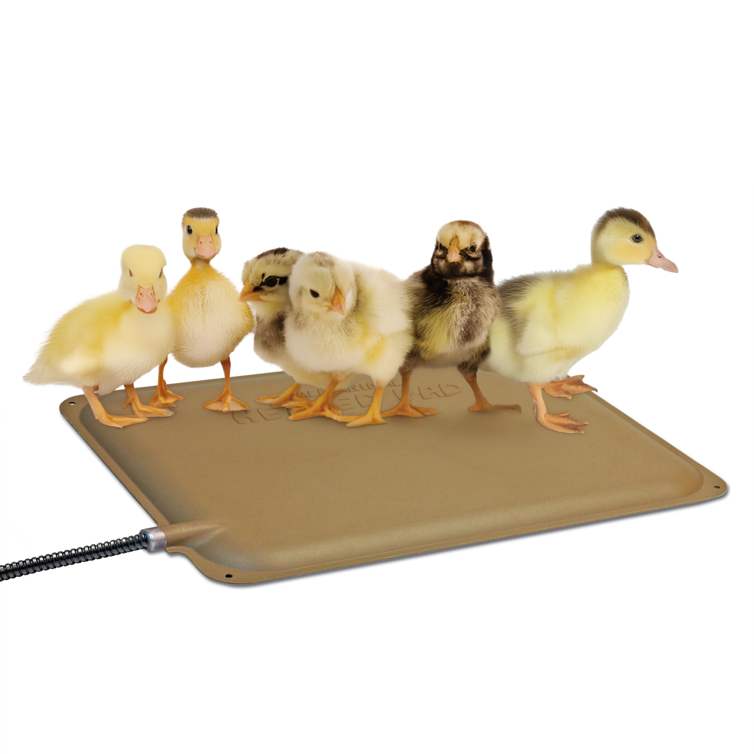 K&H Pet Products Thermo-Peep Chicken Heating Pad front view, tan