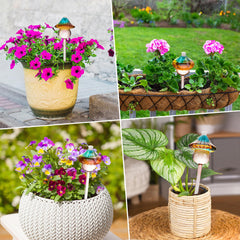 Kaimfdg Self Watering Globe in use with a plant