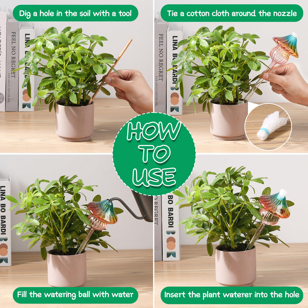 Kaimfdg Self Watering Globe showing top design for easy filling