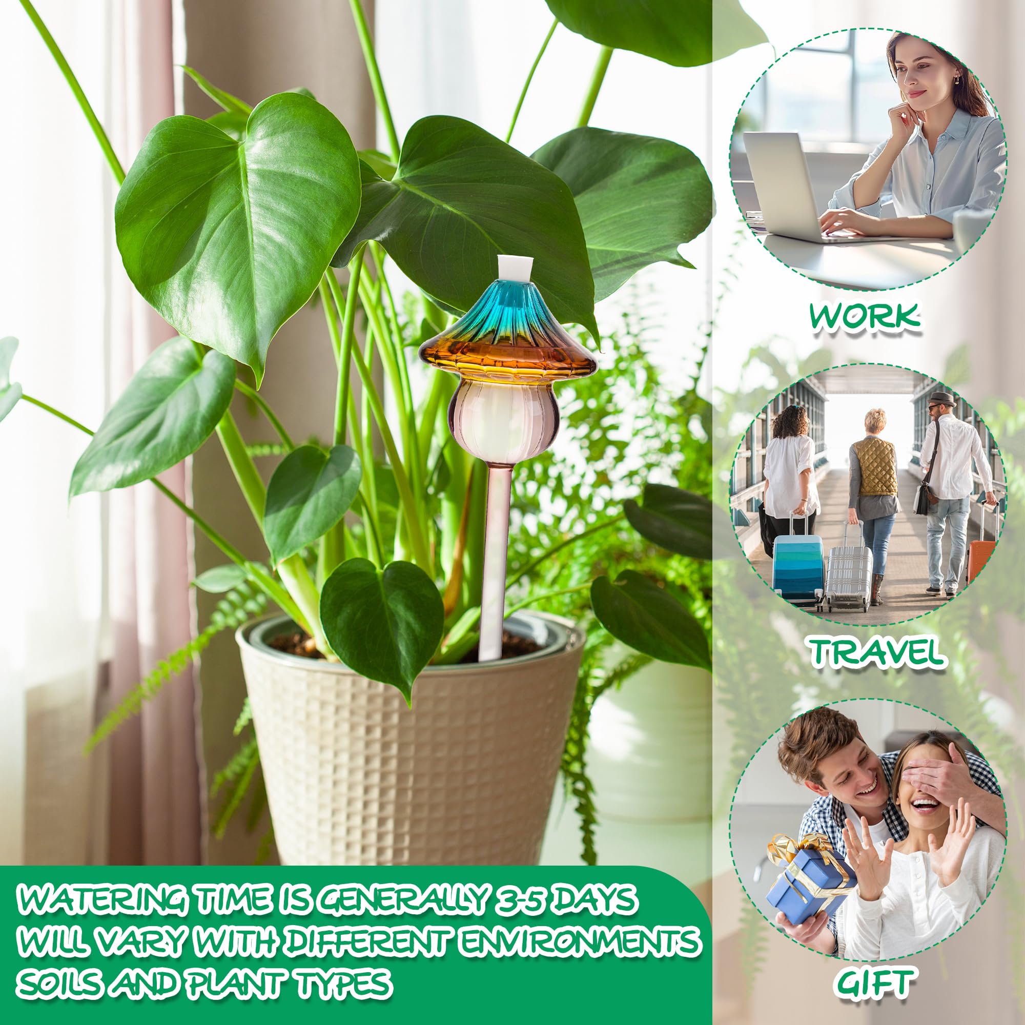 Kaimfdg Self Watering Globes arranged together as a set