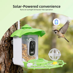 Kaixincz Bird Feeder mounted on a tree