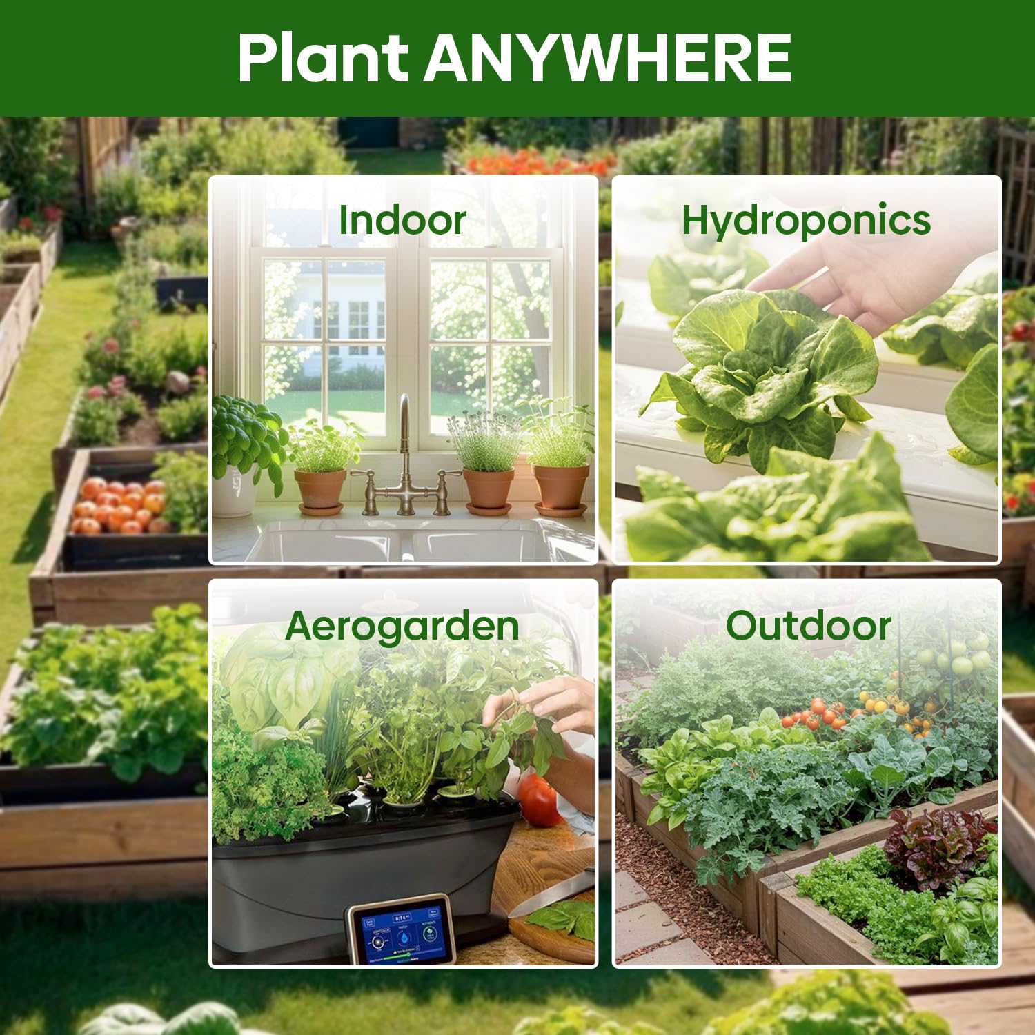 Kale seeds from Groundio in packet