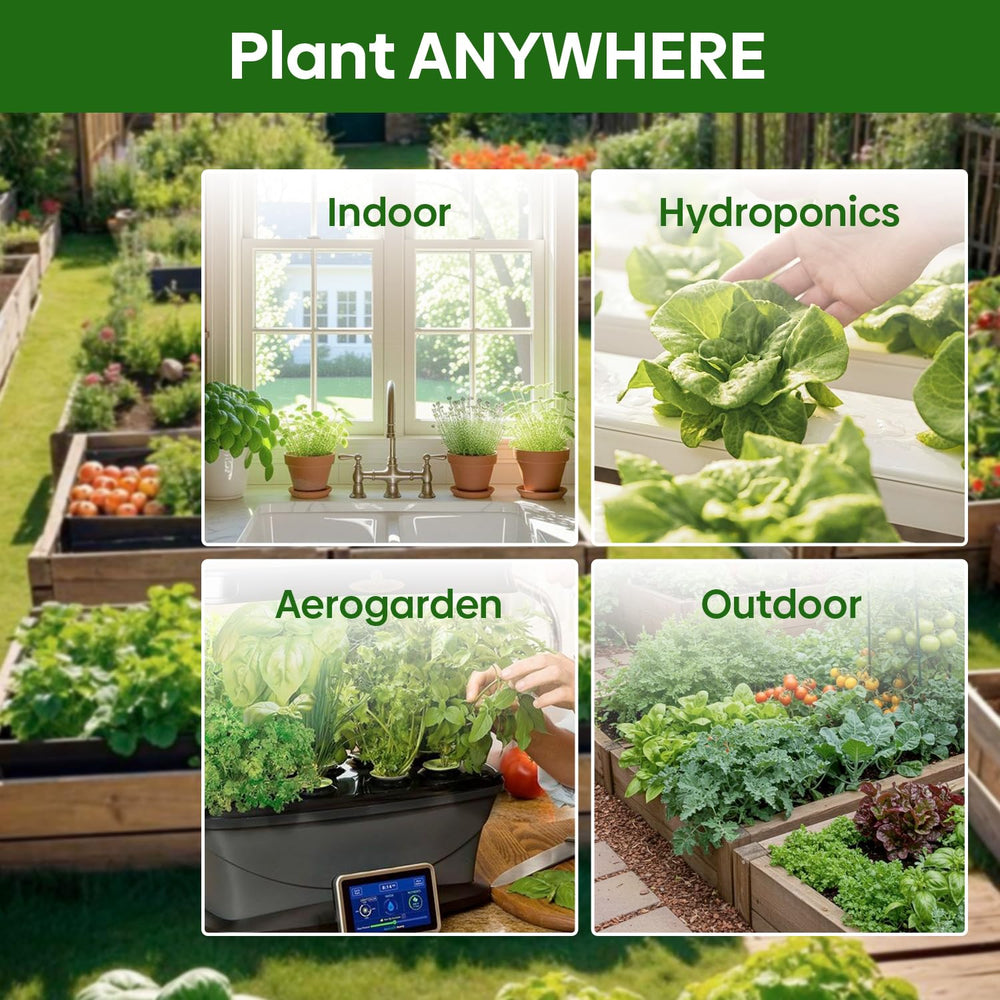 Kale seeds from Groundio in packet