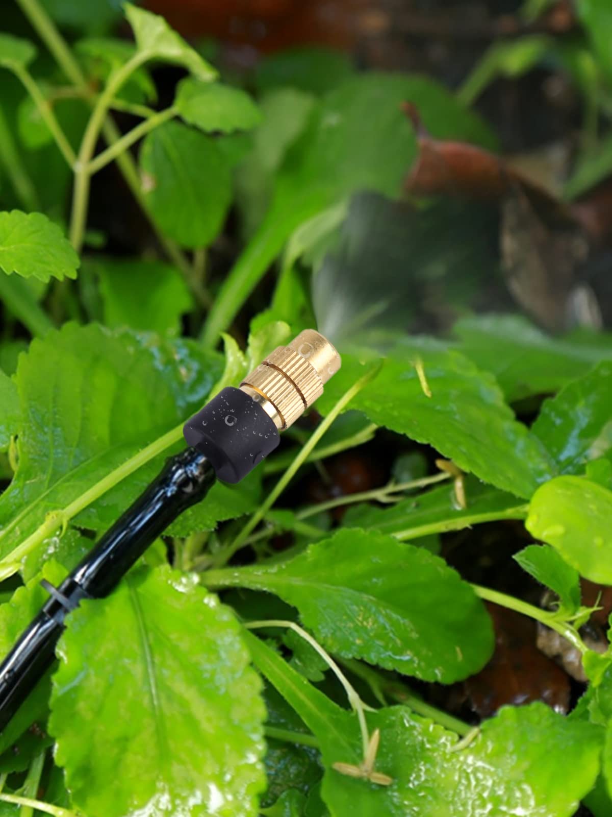 Kalolary Copper Misting Nozzles in use for irrigation