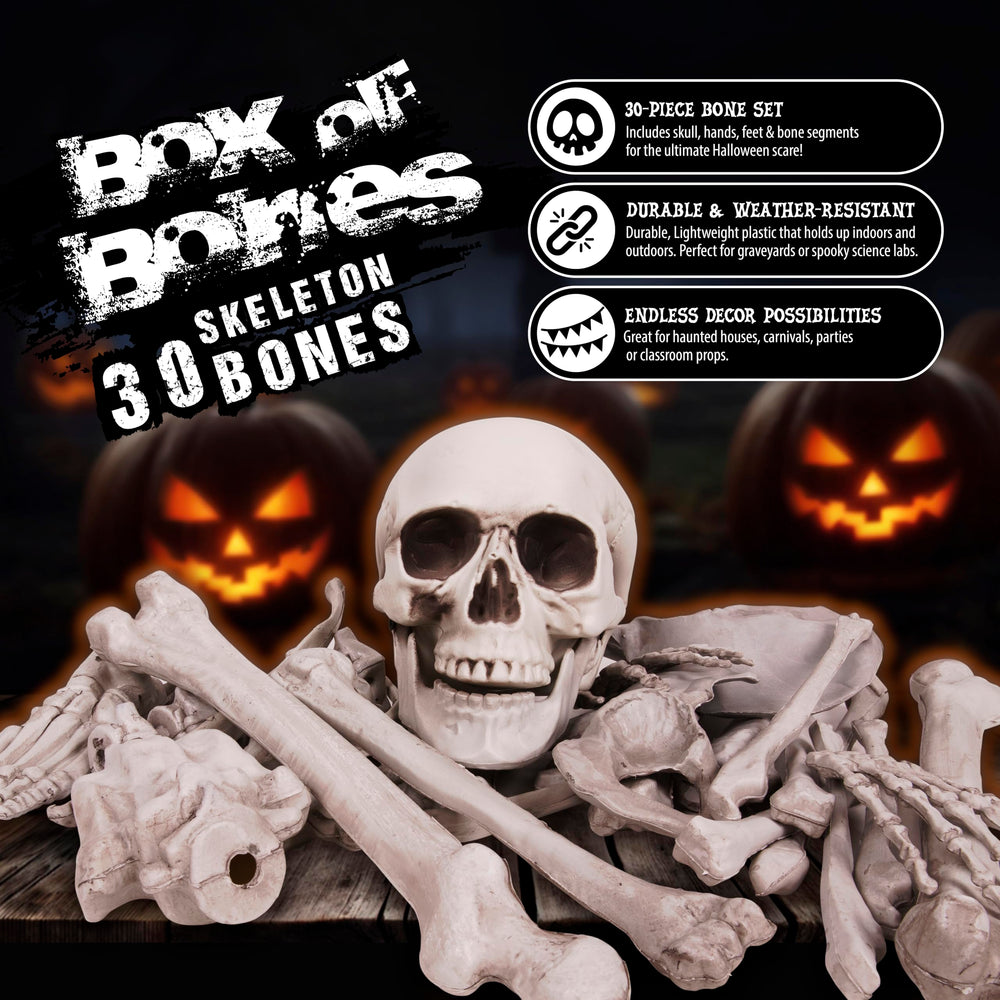 Kangaroo skeleton bones in a spooky Halloween scene