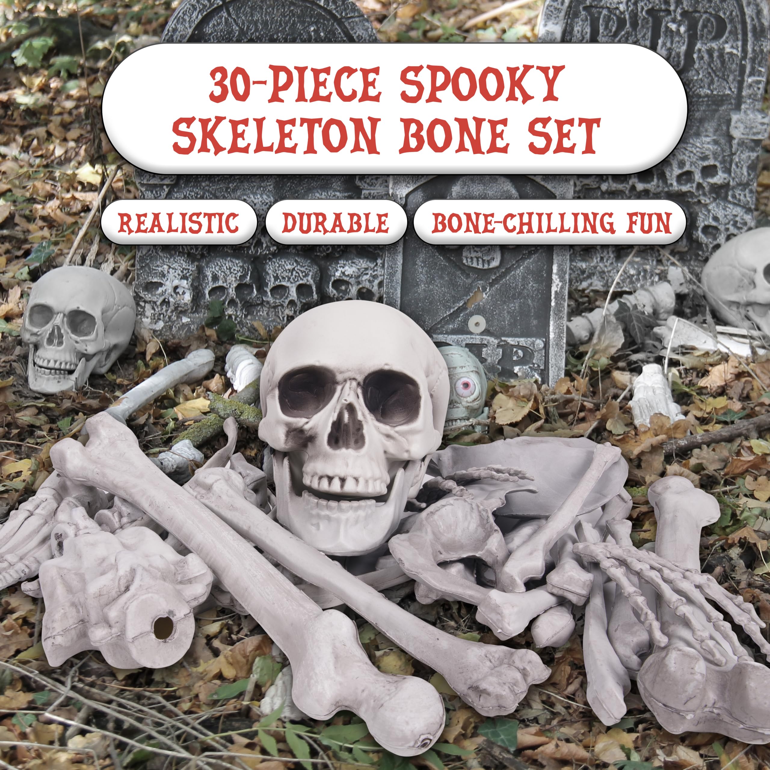 Kangaroo skeleton bones set for Halloween decoration