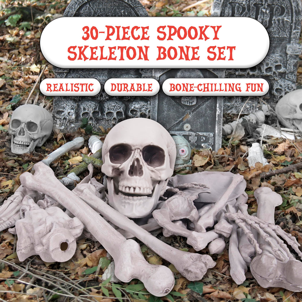 Kangaroo skeleton bones set for Halloween decoration