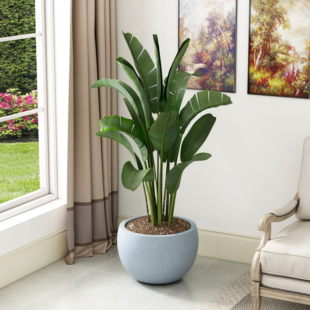 Kante Round Bowl Concrete Planter on patio with succulent