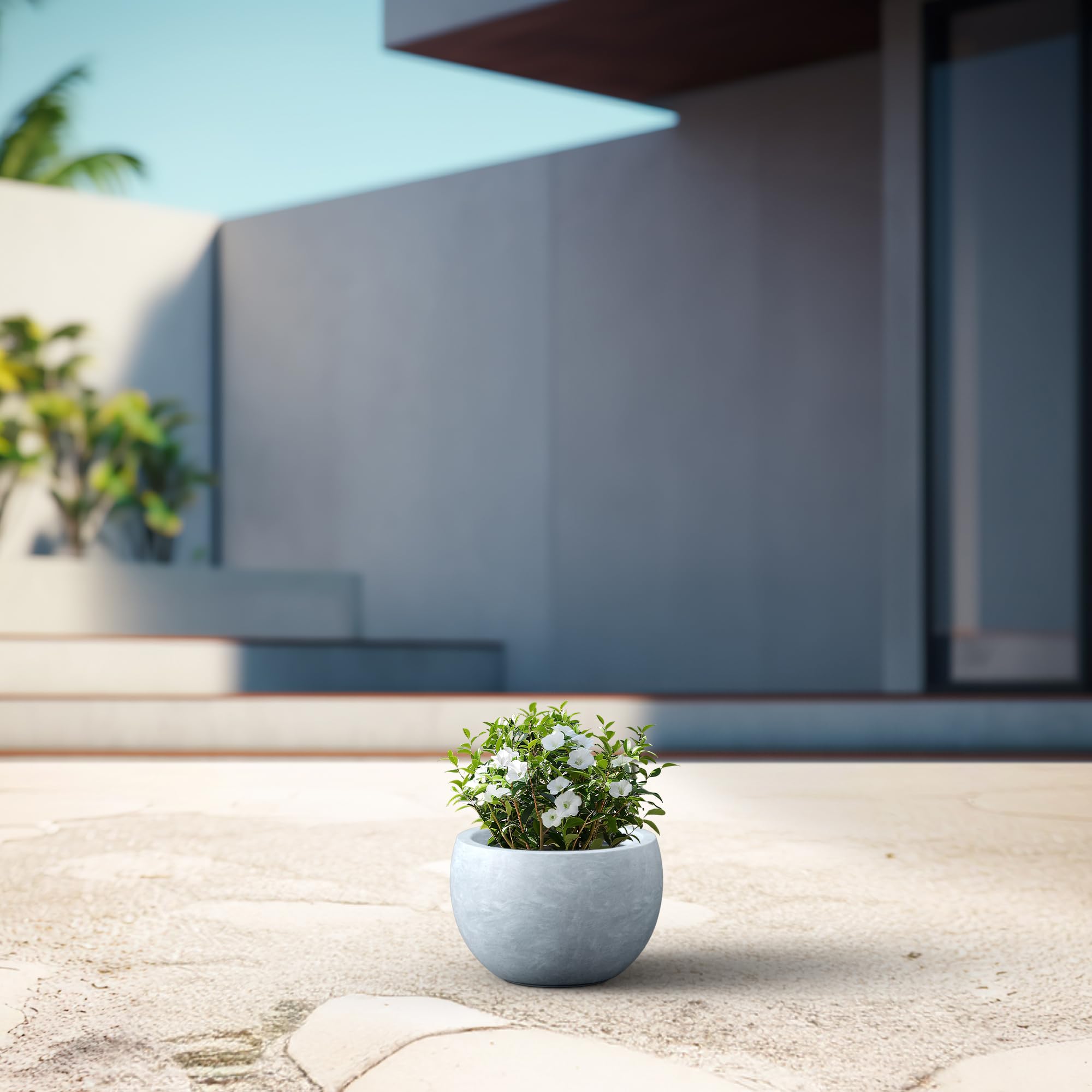 Kante Round Bowl Concrete Planter with plants indoors