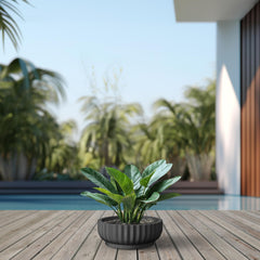 Kante Round Concrete Planter on patio with flowers