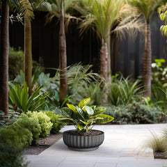 Kante Round Concrete Planter with plant indoors